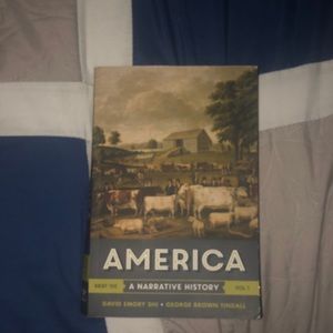 America a narrative history